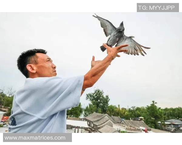 北京排球队逆袭之旅揭秘:从低谷到巅峰的奋斗与荣耀 北京排球队逆袭之旅揭秘:从低谷到巅峰的奋斗与荣耀