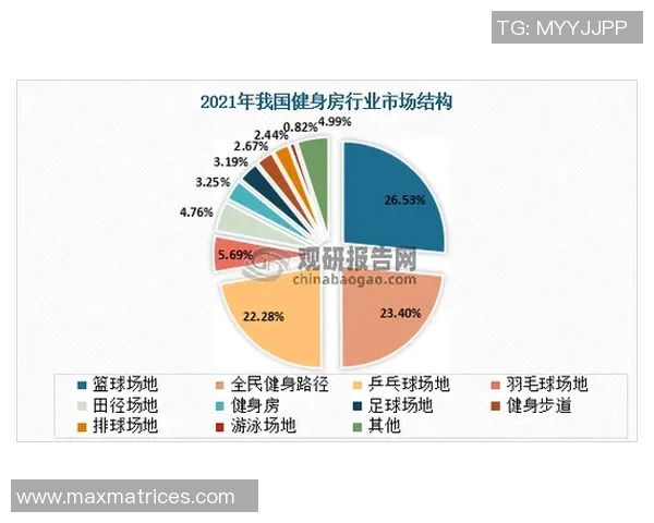 南京篮球队配合表现的数据分析与战术研究探讨
