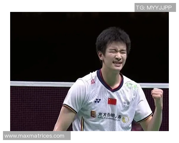 武汉羽毛球队与深圳羽毛球队赛后复盘分析力量对比与战术探讨