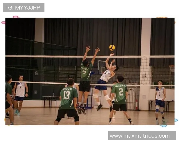 成都排球队的拼搏之路：城市联赛背后的故事与荣耀