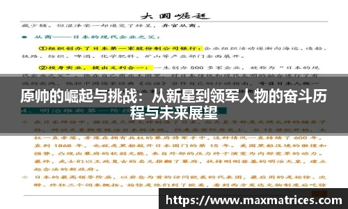 原帅的崛起与挑战：从新星到领军人物的奋斗历程与未来展望
